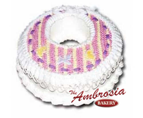 Baby Bib