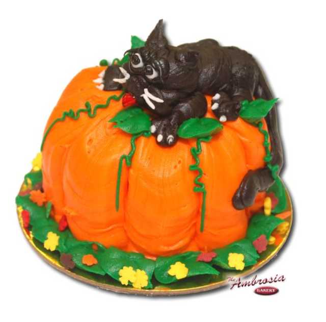 Cupcake Pumpkin Cat