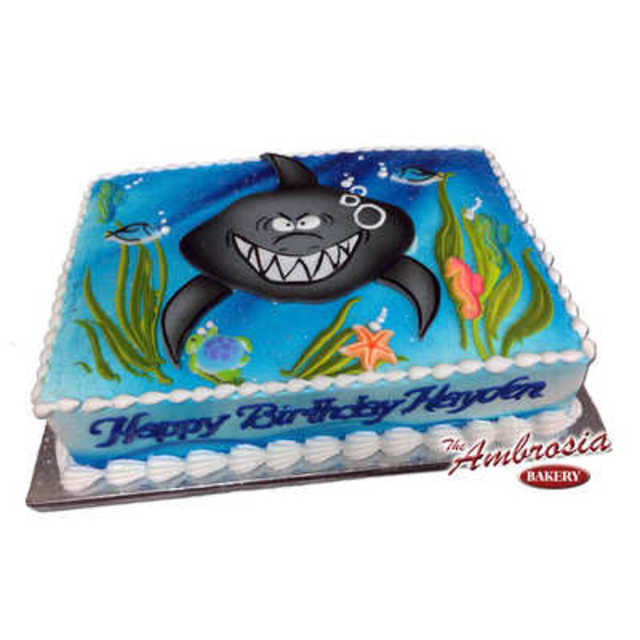 Shark Cake