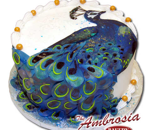 Peacock