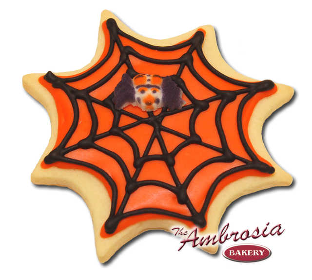 Decorated Spider Web Cut-Out Cookie