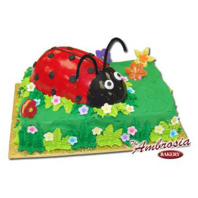 Ladybug with Petit Four Icing on Sheet Cake