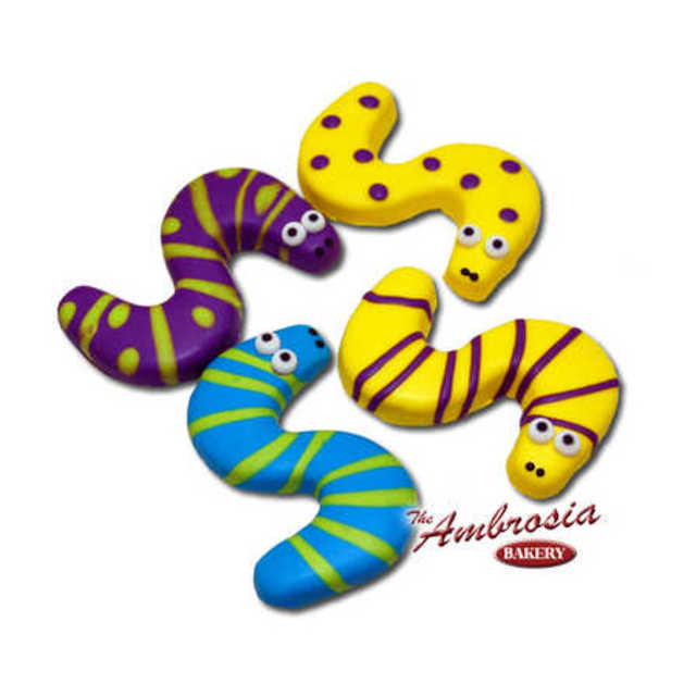 Decorated Snake Cut-Out Cookie